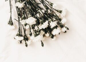 Para este texto sobre la decisión de Mark Fleischman de recurrir al suicidio asistido tenemos la fotografía de unas flores blancas sobre un fondo blanco.