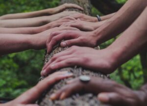 Como imagen estacada para este texto sobre el liderazgo y 5 tipos que hay, tenemos una fotografía en la que se ven varias manos formadas posadas sobre un tronco de madera en el bosque.