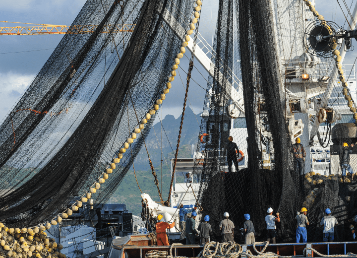 Japón apoya a pesca tras prohibición