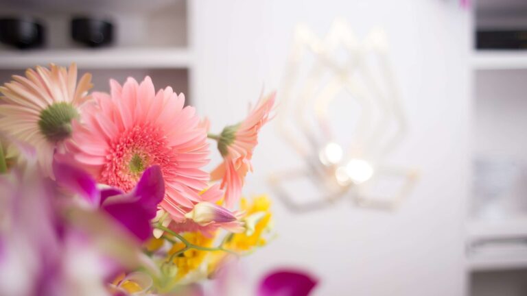 Franquicias de Flores crecen por el Día de las Madres