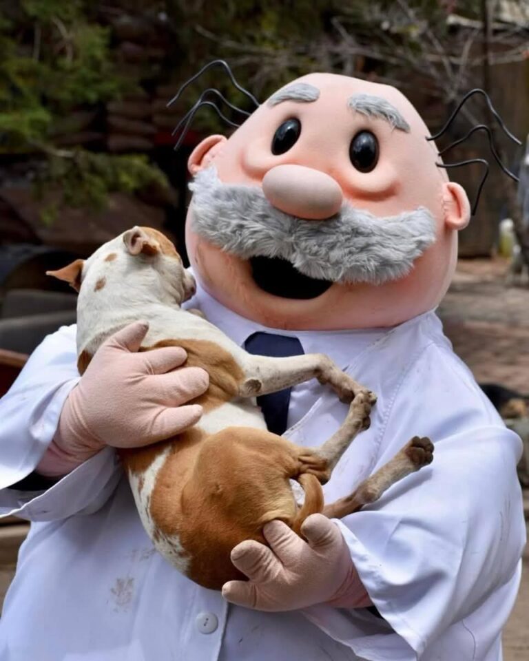 ¿Veterinarias del Dr. Simi? ¿Verdad o mito?