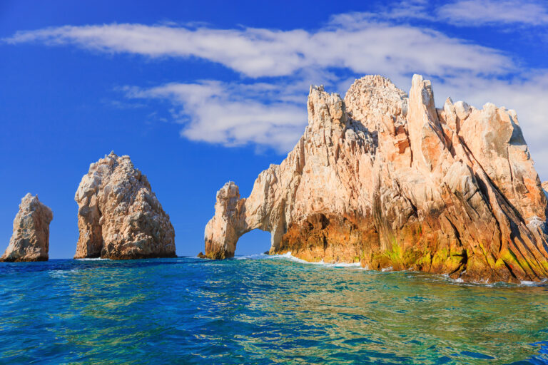 Startups mexicanas de Baja California Sur recibirán 1 mdd