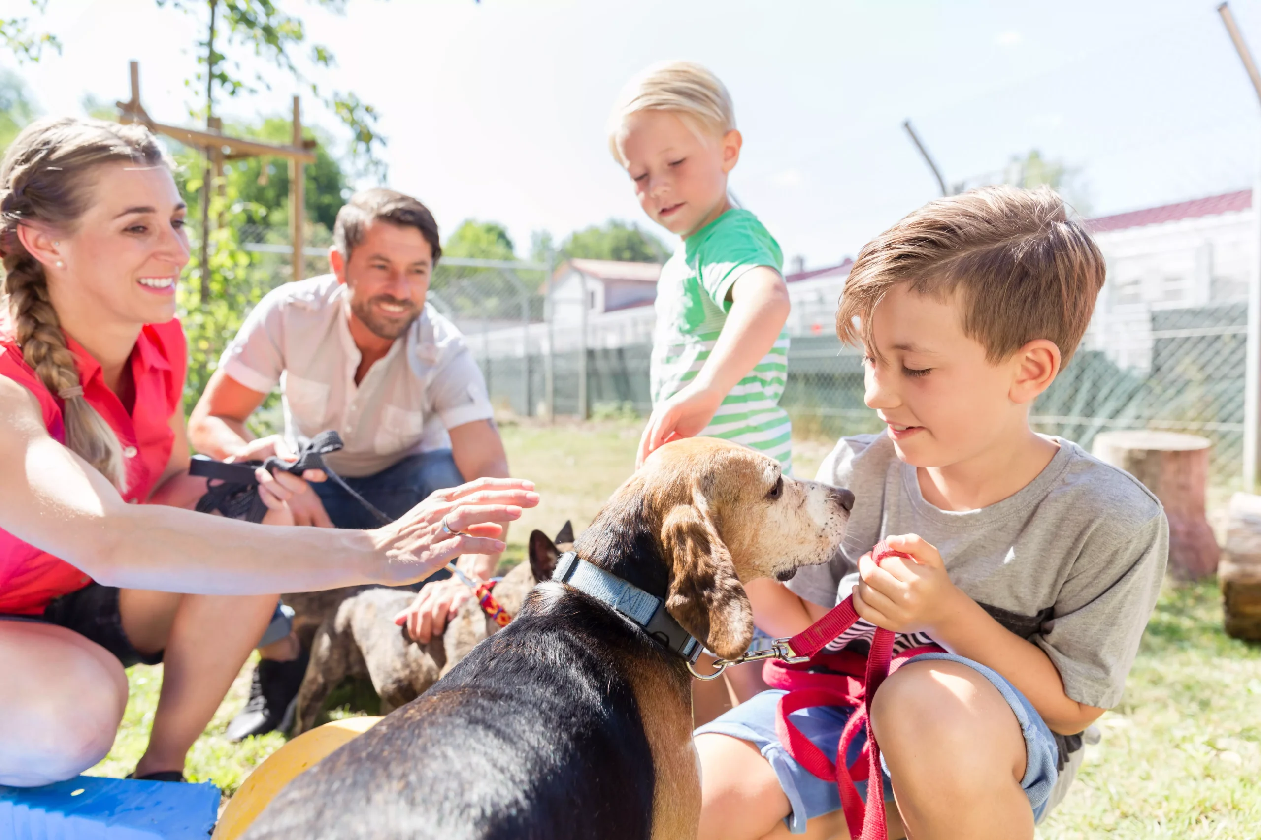 Como imagen destacada para este texto en el que hablamos del Día del Perro Adoptado, tenemos una fotografía ilustrativa de un cuatro personas jugando con un perro adoptado.