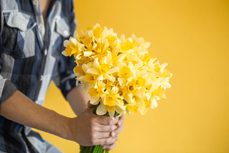 Flores amarillas el 21 de septiembre: ¿cuánto gastaron los mexicanos?