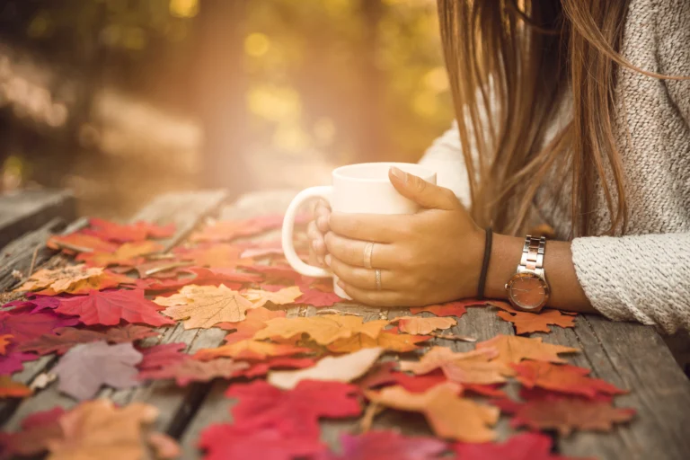 Activa modo otoño en WhatsApp, acá te decimos el paso a paso