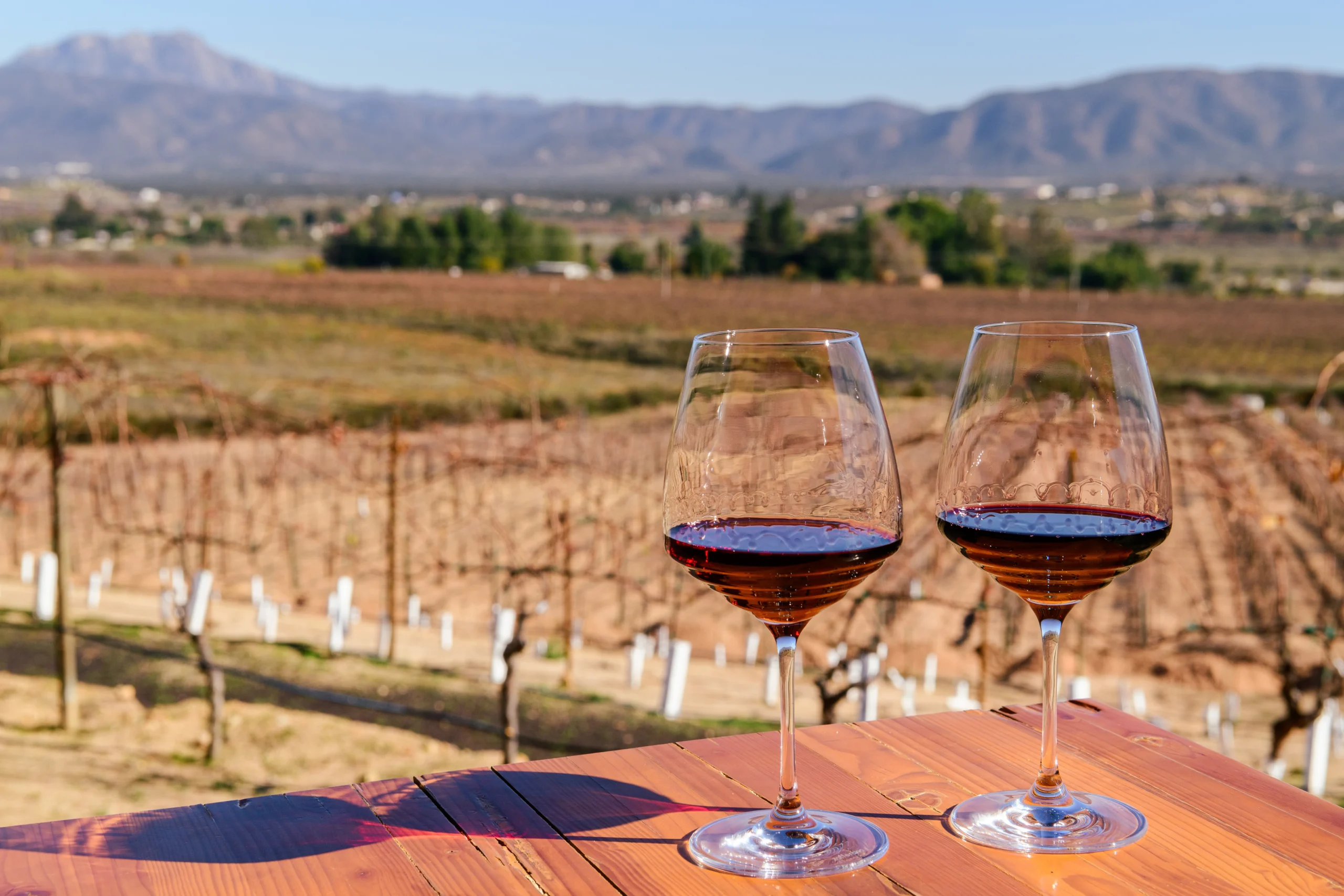 Como imagen destacada para este texto en el que hablamos del Día del Vino Mexicano, tenemos una fotografía ilustrativa de dos copas de vino sobre una mesa en un viñedo.
