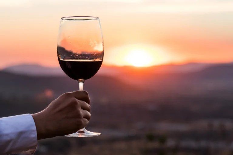Día del Vino Mexicano 2025: una industria que genera 500 mil empleos y 1,600 millones de pesos al año