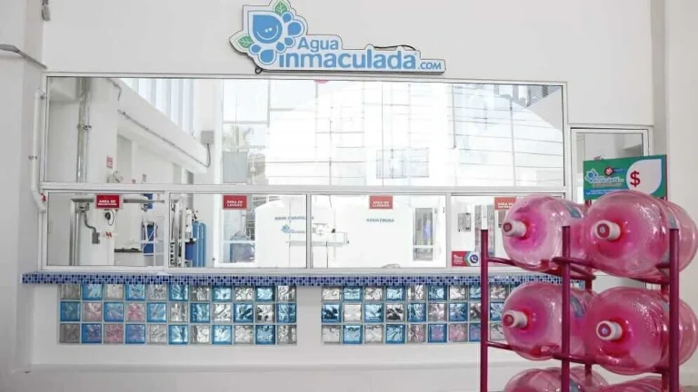 Franquicias desde 150 mil pesos que podrás encontrar en Expo Franquicias-T Monterrey