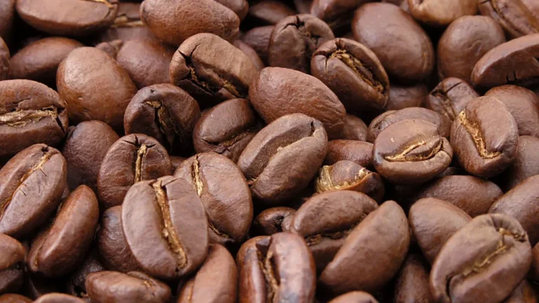 Franquicias de café en peligro: el grano alcanza precios históricos