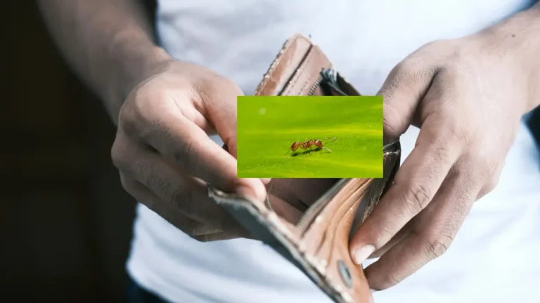 Qué son los gastos hormiga y cómo ponerles fin