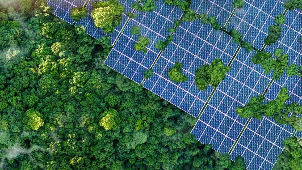 2025-es-el-mejor-ano-para-invertir-en-energías-renovables