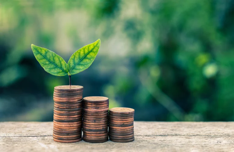 NAFIN lanza créditos verdes para emprendedoras mexicanas