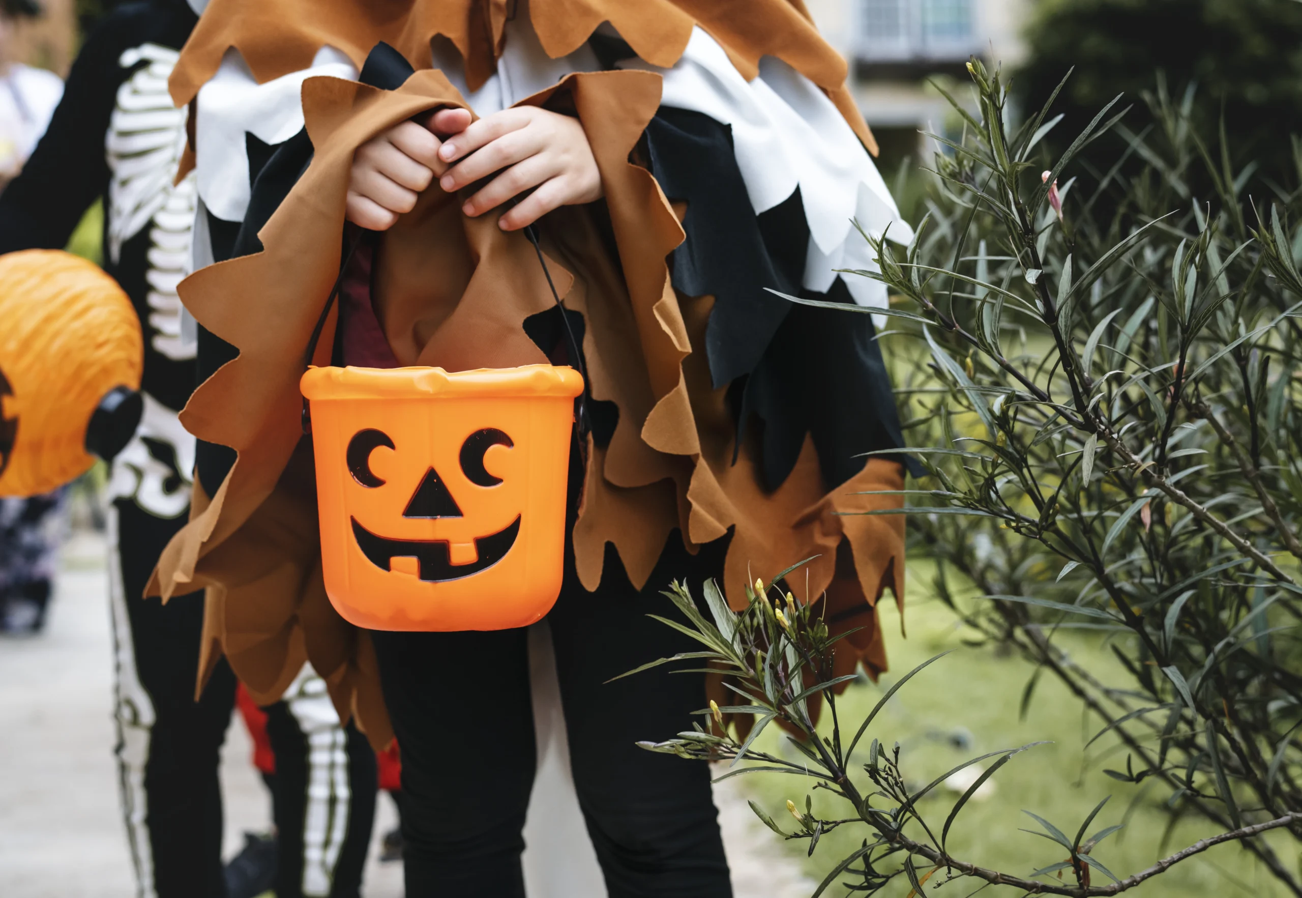 Como imagen destacada para este texto en el que hablamos Halloween, tenemos una fotografía ilustrativa de la celebración con niños disfrazados.