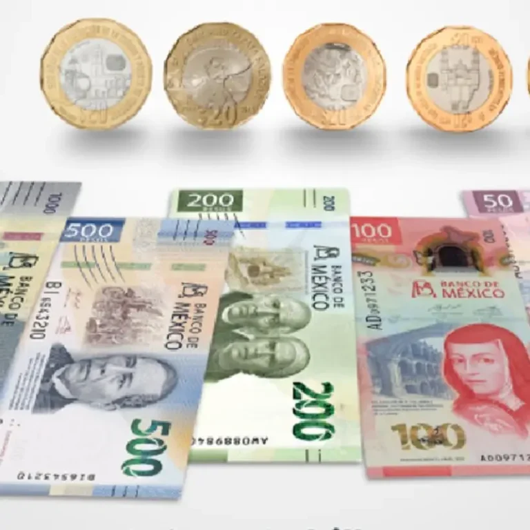 ¿Cómo es que el Banco de México elige a los personajes históricos en billetes y monedas?