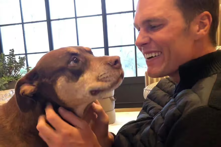 Tom Brady clonó a su mascota: Entérate cuánto pagó