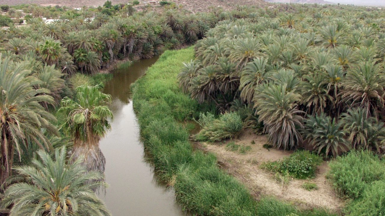 este-es-el-impuesto-que-solo-pagan-los-extranjeros-en-baja-california-sur