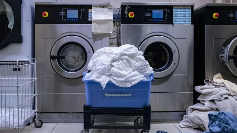 Franquicias lavanderías que debes conocer para invertir este 2026
