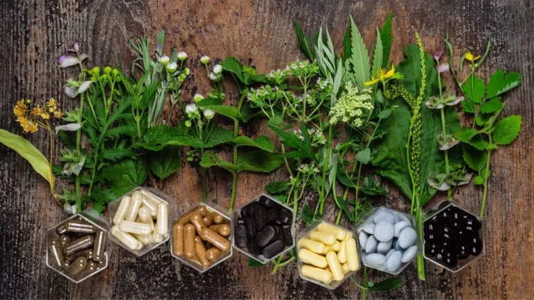 ¿Tienes en mente abrir un kiosco naturista? Esto es lo que necesitas para empezar